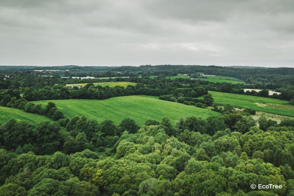 Luchtfoto van akkers en bos in een landelijk gebied